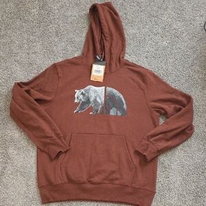 The North Face Men's Brown Bear Graphic Hoodie